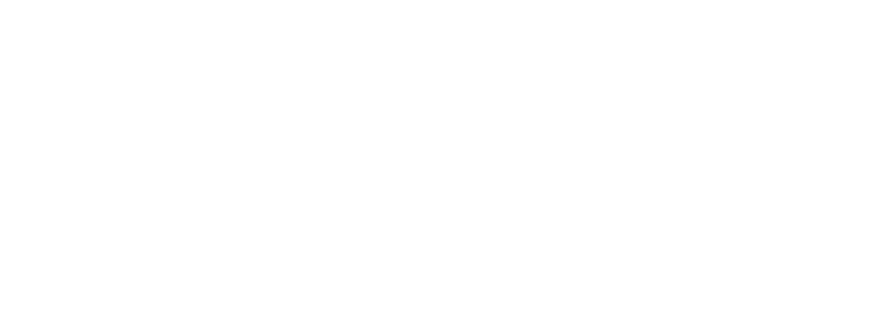 St. Johns County Public Library System Logo